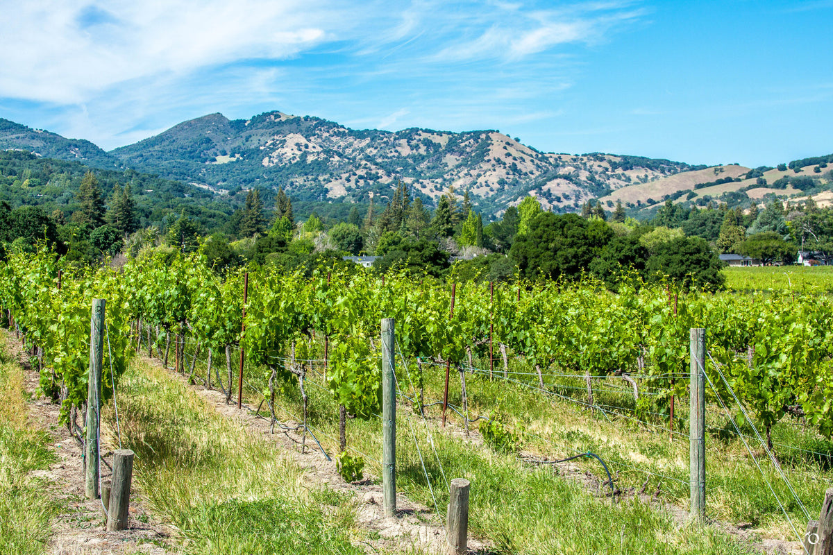 Solano County Green Valley – Qorkz