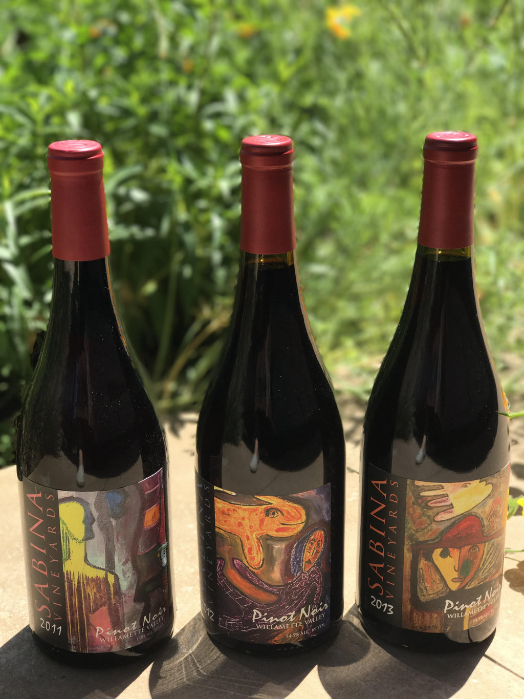 Sabina Pinot Noir Vertical - Qorkz